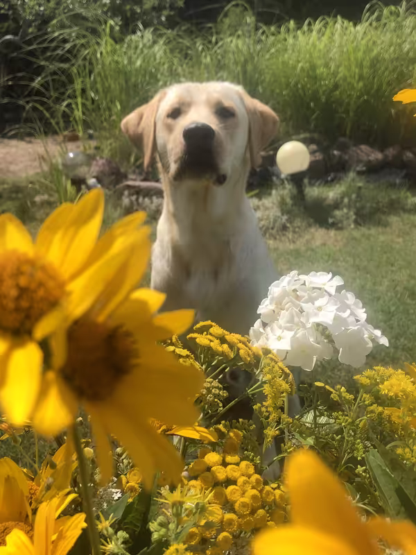 FBA19CBC-8885-4BCA-9C9A-32E935F77AA3