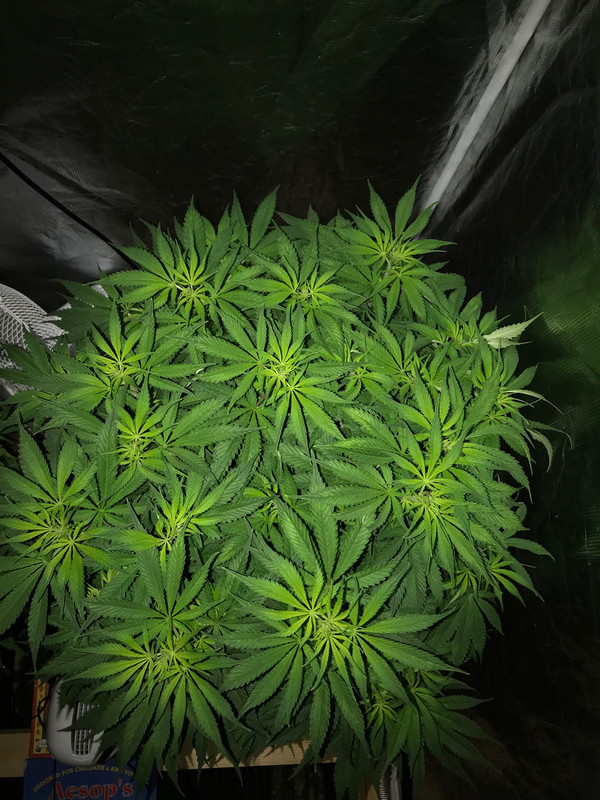 30B46D0A-6D68-4163-A542-37994622AA48