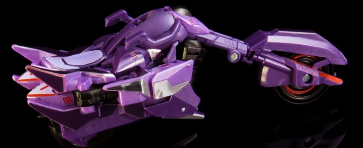 labels-for-rid-fracture