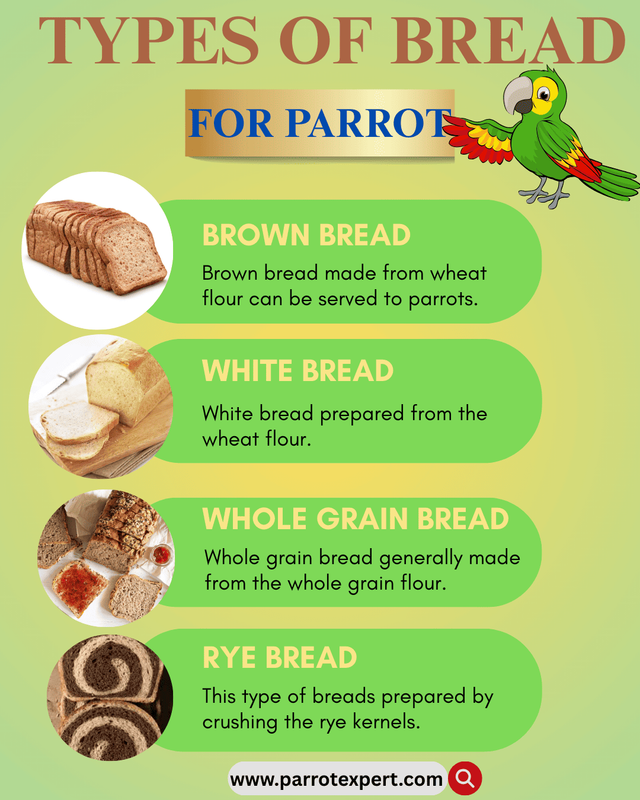 TYPES OF BREAD PARROTS EAT