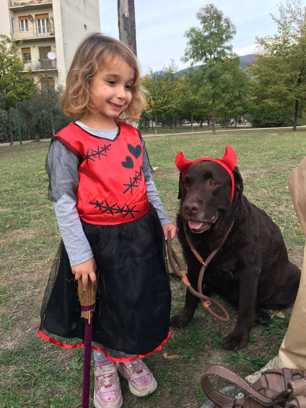 6DD615E7-6E93-4AF0-A4A1-F35E16791910