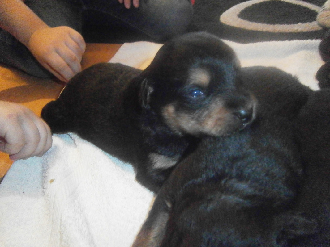 ^836CB533E2AFD5C09D8416D863B3C8F05AA2169C64C7462