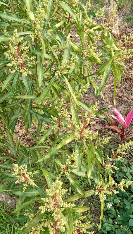 IMG_20240212_165550918_HDR~2