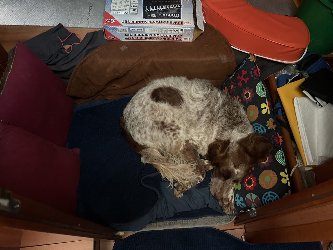 C1DEA9A2-3427-4124-BB75-4E42FD76B7F9