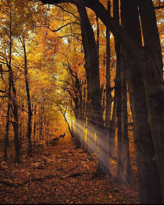 Screenshot_20231207_153416_Instagram