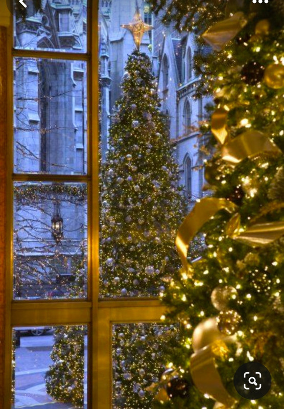 Screenshot_20231217_183852_Pinterest