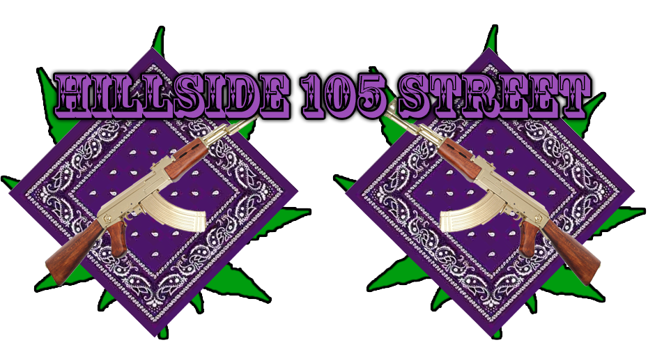 H105S.png