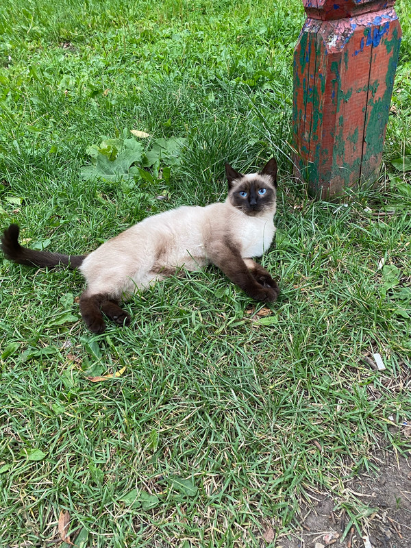 0eptUcSAs5fTElhJLDhWJKIyhaS5CgrA-k6pR9y_Le-0XuaRc_-VNYBZqbmYkDUcSyKTt0Pkjv4z-chwemw1YnqB