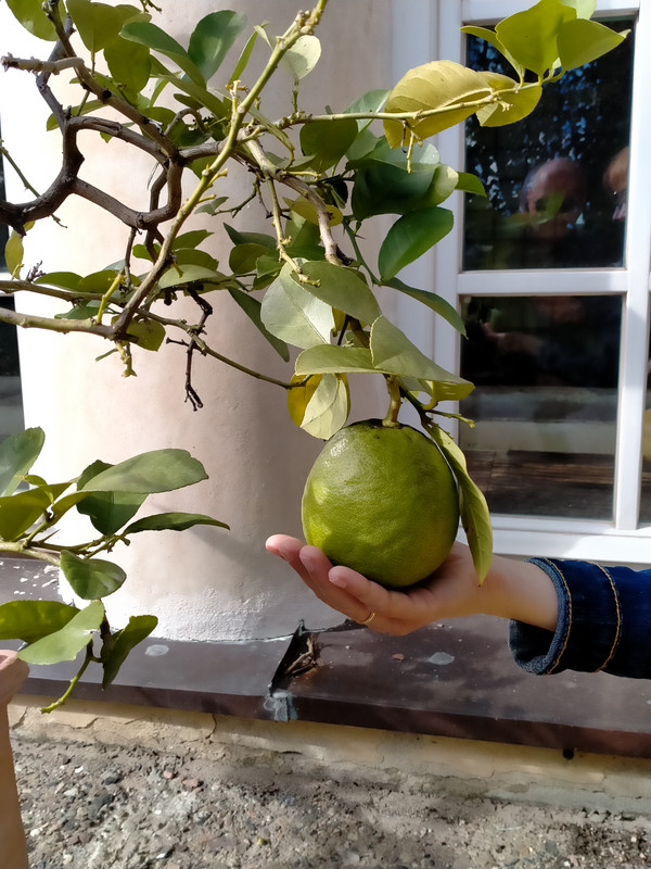 013 - IMG20210904154620