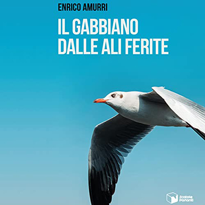 Enrico Amurri - Il gabbiano dalle ali ferite (2022) (mp3 - 128 kbps)