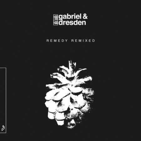 VA - Gabriel & Dresden - Remedy (Remixed) (2020)