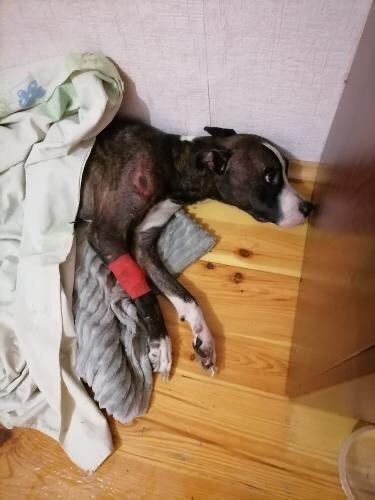 092AC00B-A455-45D3-B0E9-EF190C0BDAA5