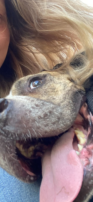 B25C2C0D-B504-4F96-BFA8-951B09823903