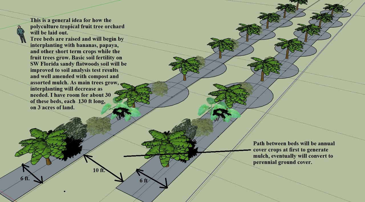 general bed arrangement