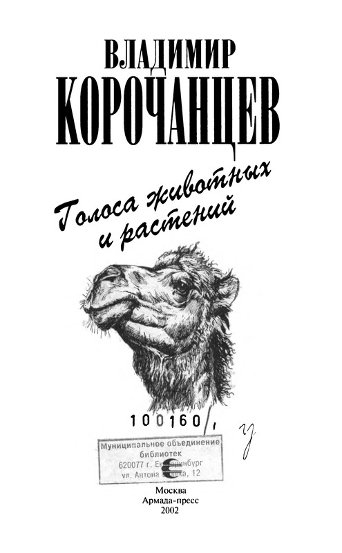 p0006