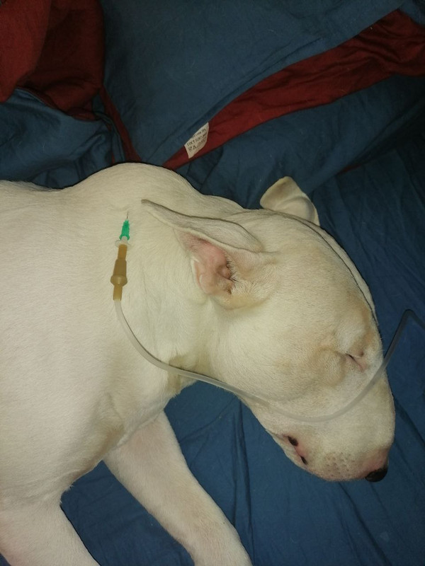 капельница