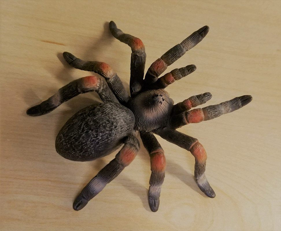 mojo - Tarantula (Mojo Fun) 20190424-174618