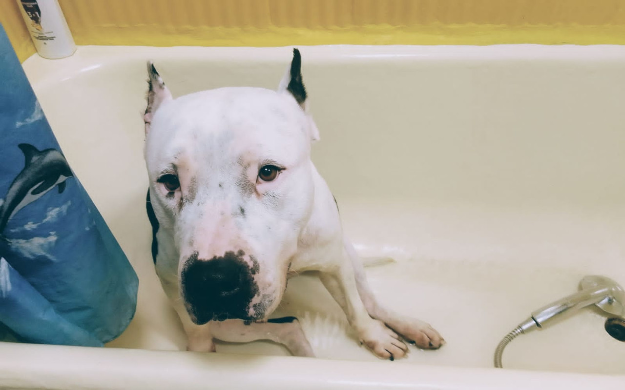 771A303F-22E5-4ADC-835D-E88D38C90471