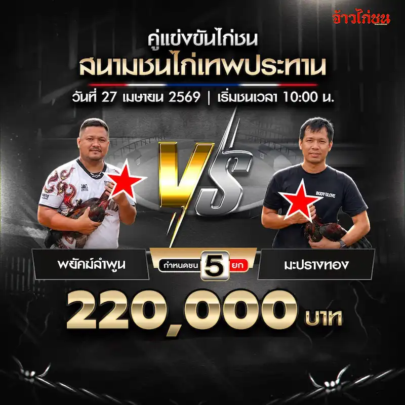 พยัคฆ์ลำพูน พบ มะปางทอง โปรแกรมไก่ชน สนามเทพประทาน วันที่ 27 เมษายน 2569