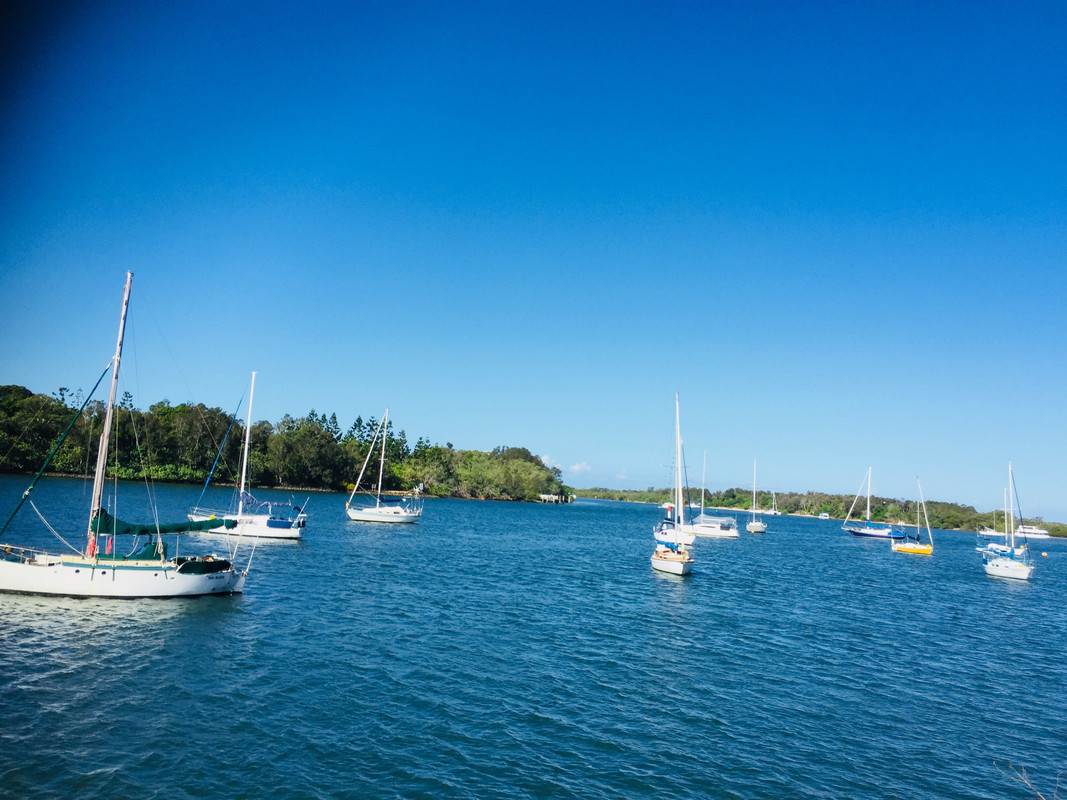 295CECC2-2472-4300-9698-DE4CBC81CD32