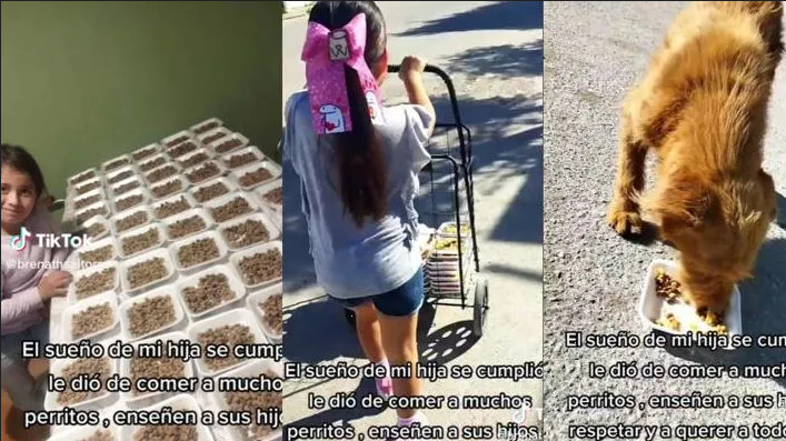 Niña se vuelve viral por cumplir su sueño de llevar croquetas a perros callejeros