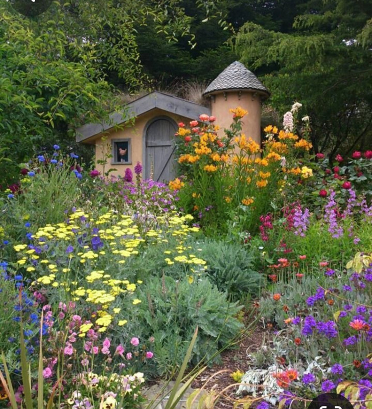 Screenshot_20240320_233126_Pinterest