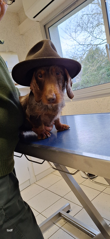 [Image: 20250314-175110.jpg]