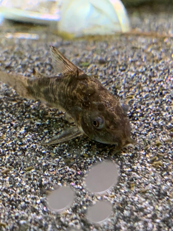 7511fa15-1319-46bc-be95-603a9eb90e93