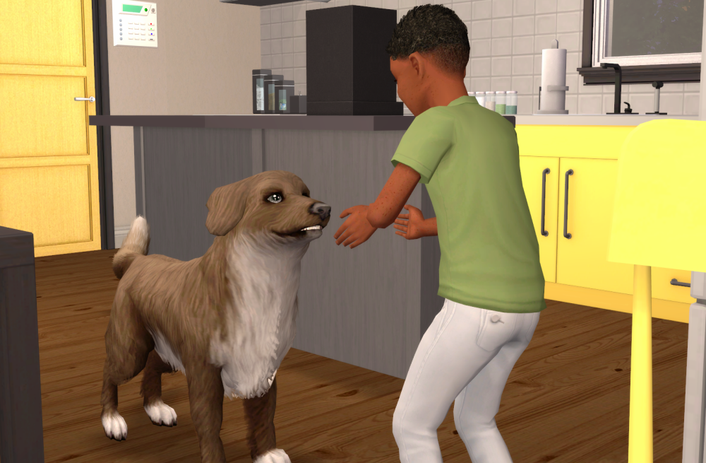 Sims2-EP9-RPC-2021-06-05-14-38-04-69