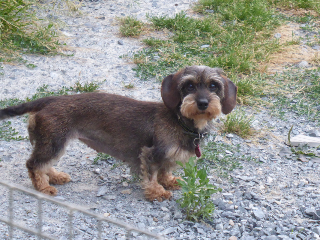 [Image: P1030406.jpg]