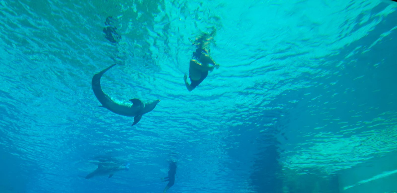 WhatsApp Image 2020-02-18 at 11.14.56 (1)