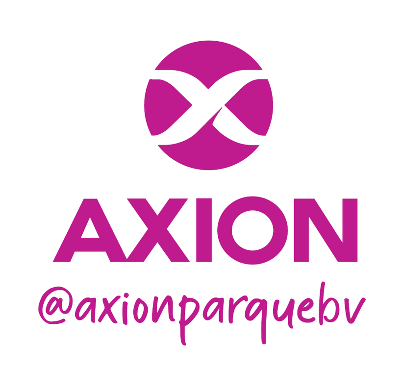 Axion