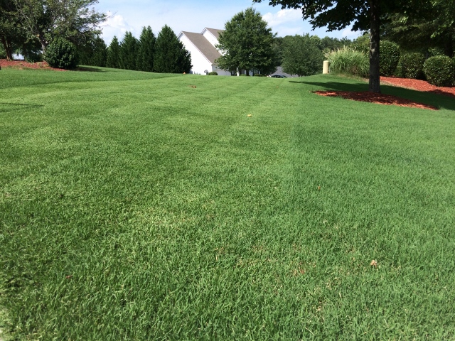 IMG_7324 small size (640x480)