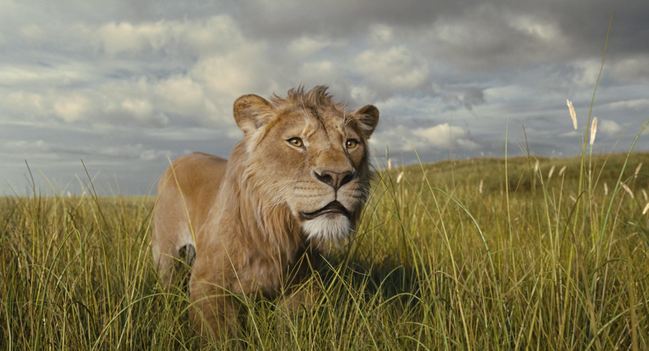 vlcsnap-2025-02-19-18h24m04s902