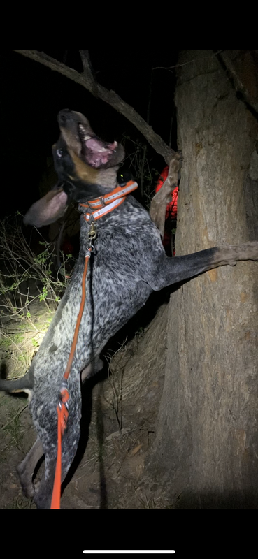 E07148E9-EA46-474D-9B1B-2DC5E6884048