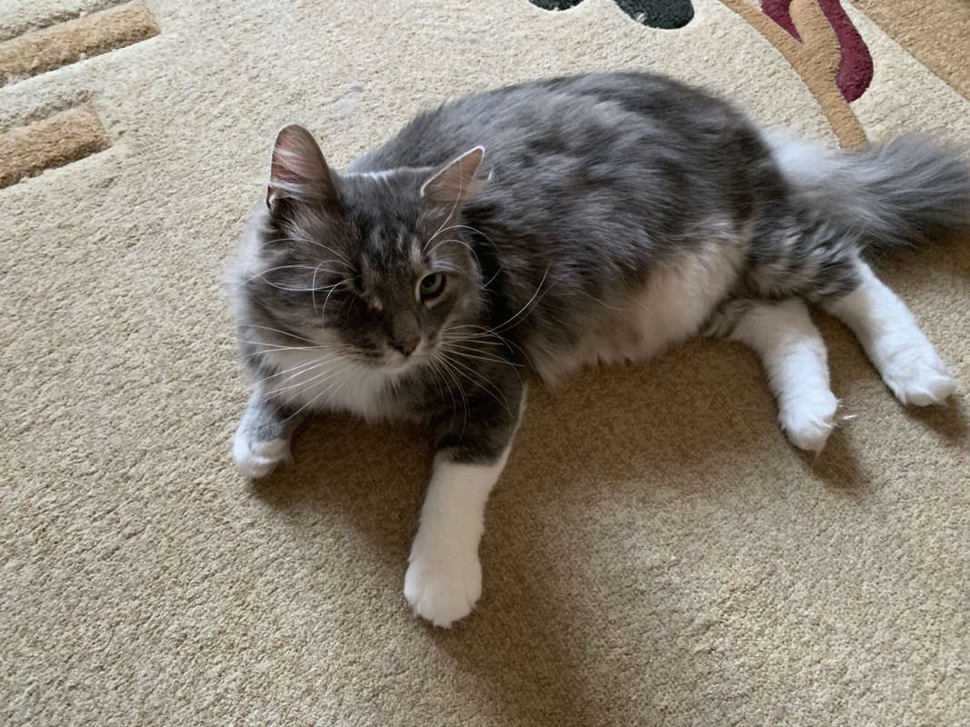 322D8DCD-7BF2-4982-8F1A-C5BDF8C54E48