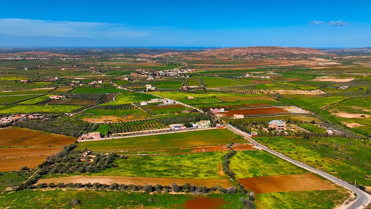 FB-IMG-1770552167137