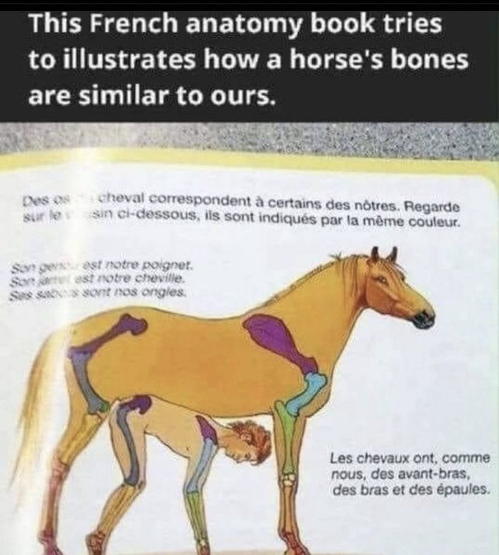 1672854118277145.jpg