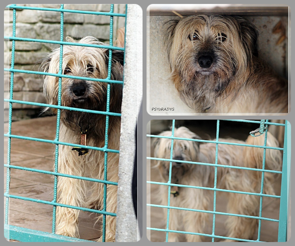 BeFunky-collage (25)