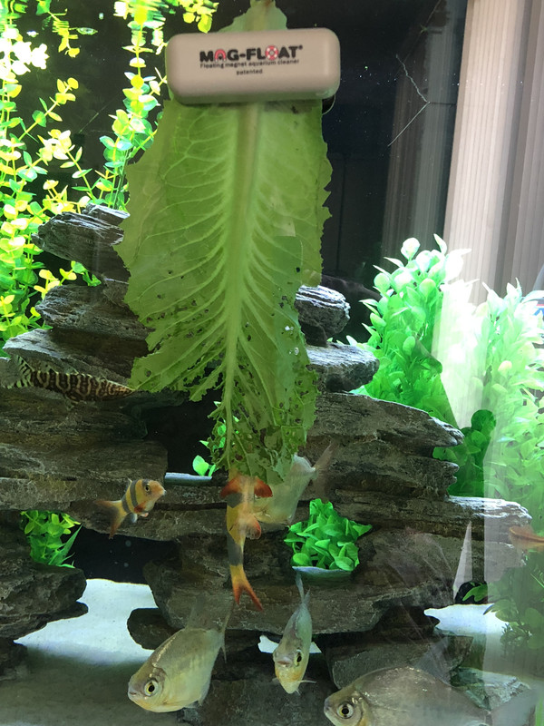 CCE5D5AB-869B-4639-B4E4-FB8B243642A1