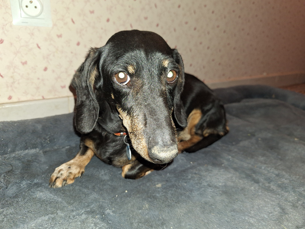 [Image: 20240424-205948.jpg]