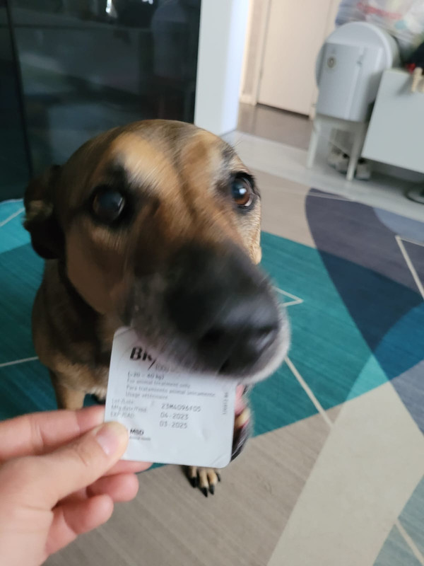 WhatsApp Image 2024-07-26 at 13.19.53 (1)