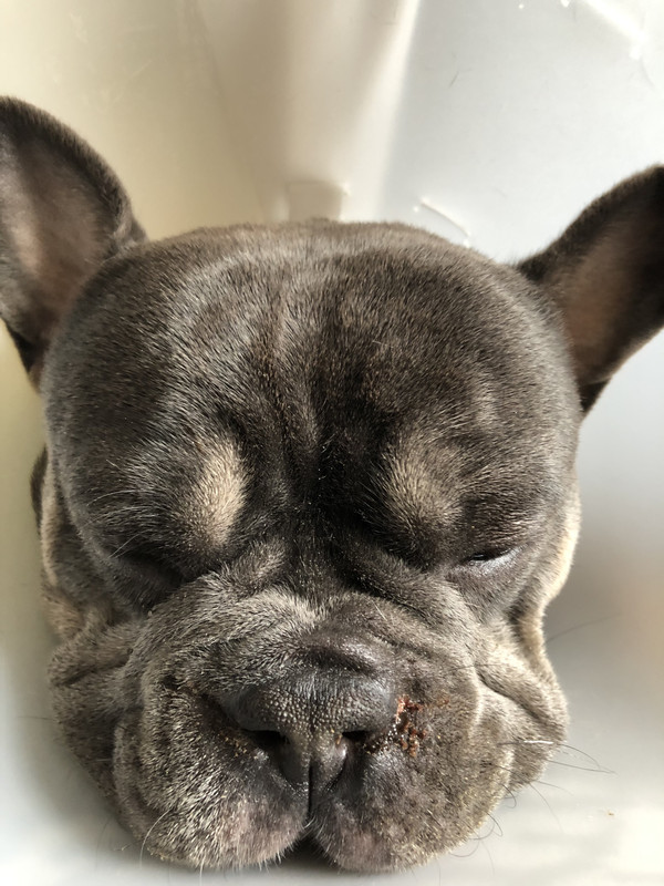 85F44550-30C5-4906-8382-F9BF4D3E1739