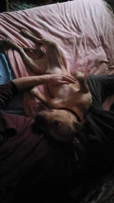 316C3D68-F30D-40AA-8B68-1CA65CCC50D7