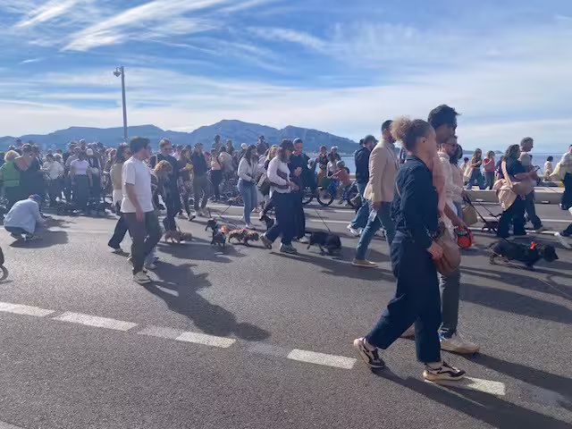 [Image: temp-Image-ER0m-CK.avif]