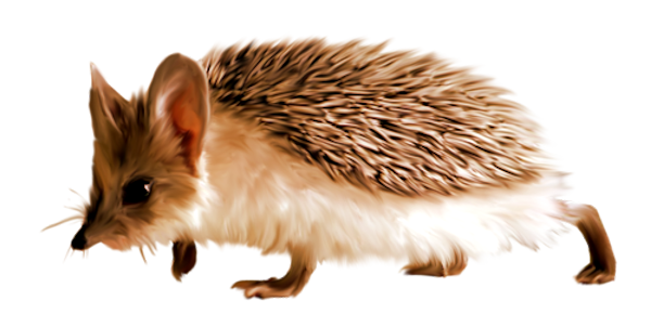 TADD_elements_ShimmerFall (65)