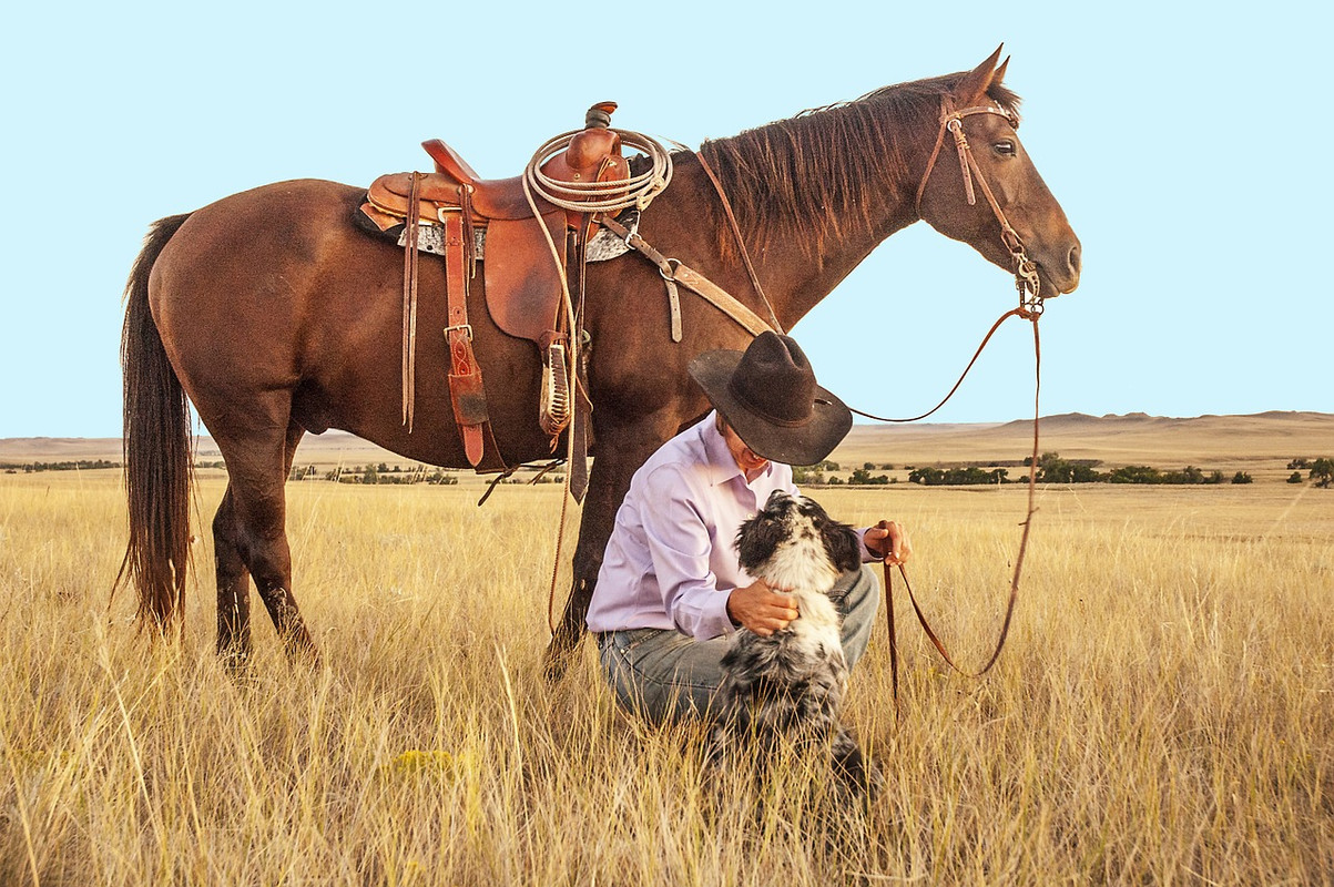 people-cowboy-1130695-1280.jpg