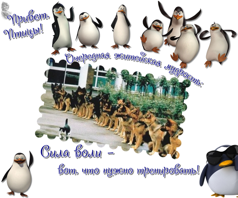 https://i.postimg.cc/brkQdJQZ/02-04.png
