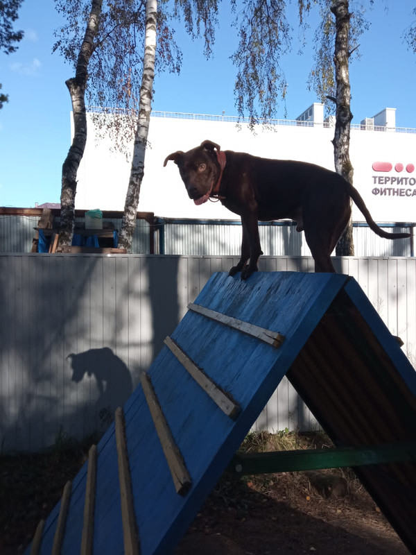 EBD452ED-58CE-4FB1-836A-76ADB675627C