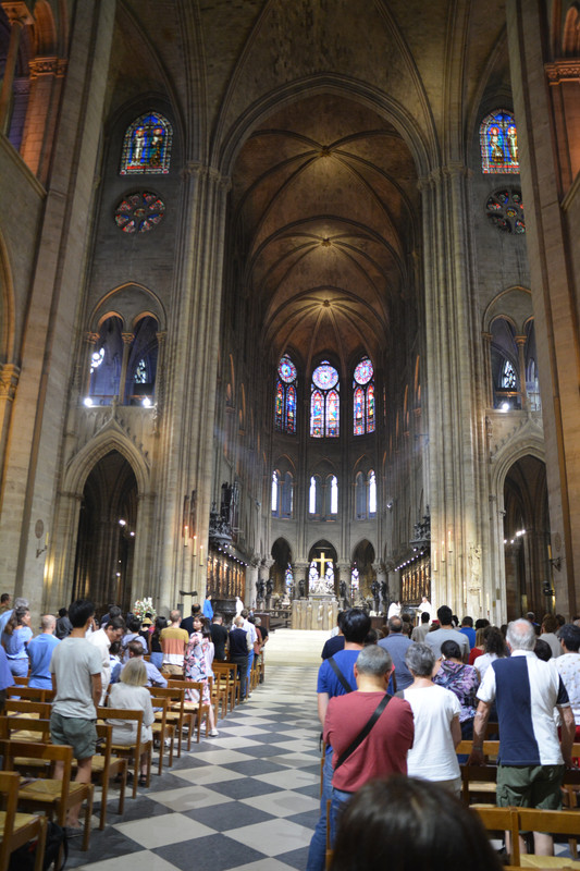 17.12 - DSC_9005 (Ater)